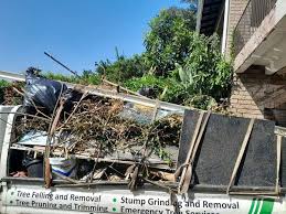 Best Electronics and E-Waste Disposal  in Pender, NE